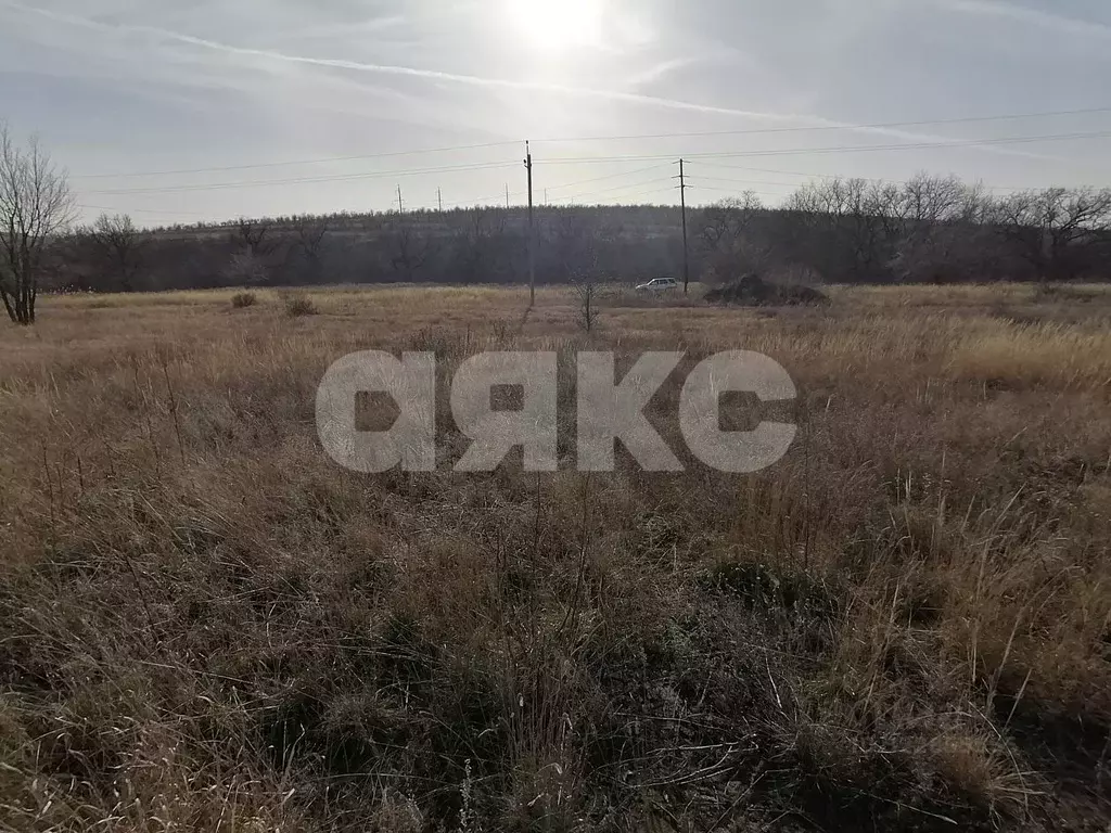 Участок в Волгоградская область, Городищенский район, Царицынское ... - Фото 2