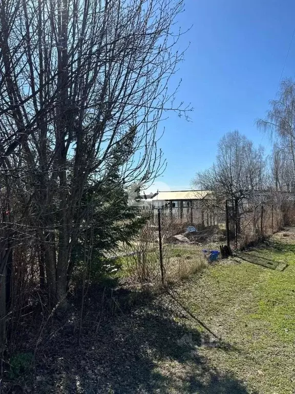 Участок в Новосибирская область, Новосибирский район, Толмачевский ... - Фото 1