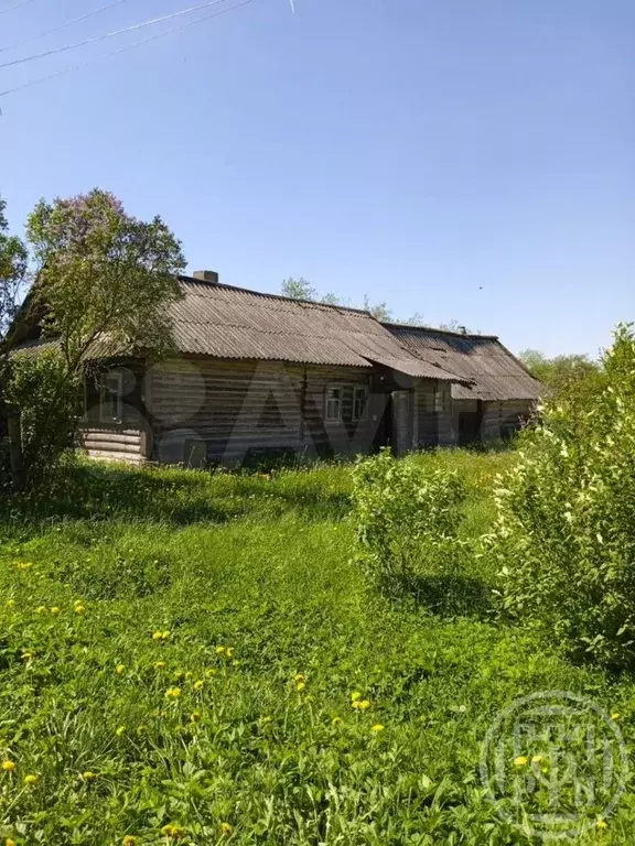 Участок 25 сот. (ИЖС) - Фото 1