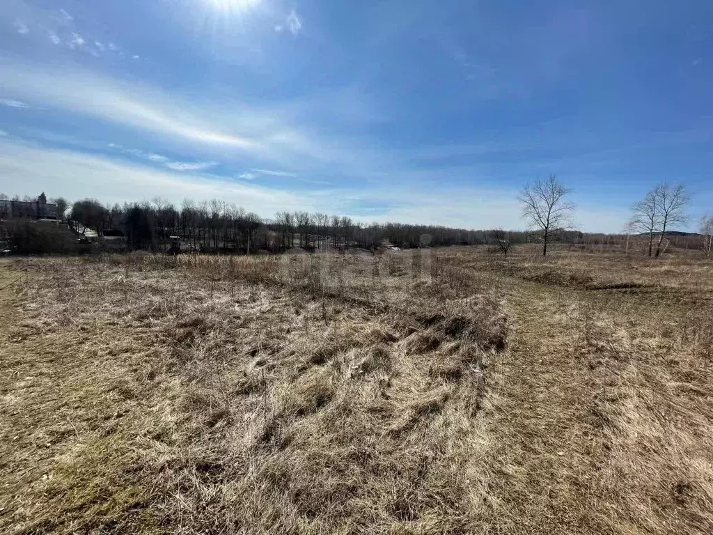 Участок в Тульская область, Киреевский район, Бородинское с/пос, ... - Фото 1