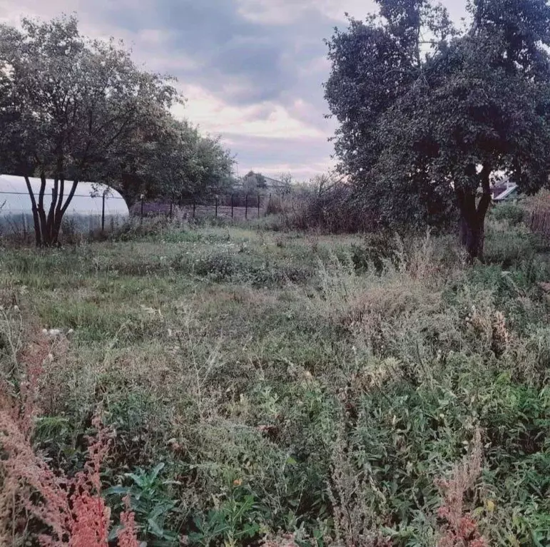 Дом в Татарстан, Зеленодольский район, Нижние Вязовые муниципальное ... - Фото 1