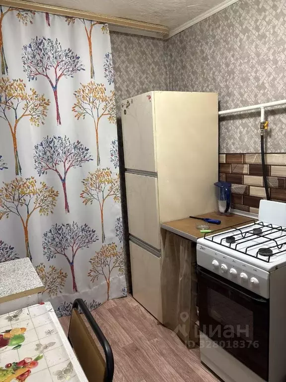 1-к кв. Ленинградская область, Всеволожский район, Кузьмоловский пгт ... - Фото 1