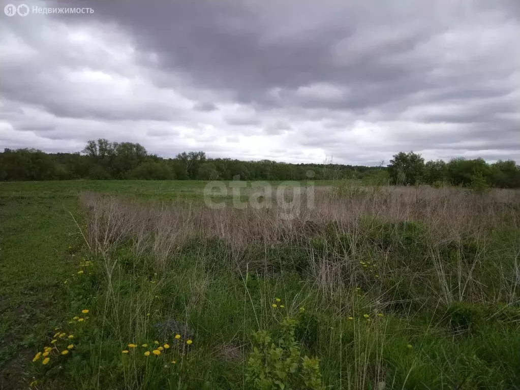 Участок в Тульская область, городской округ Тула, деревня Нижние ... - Фото 1
