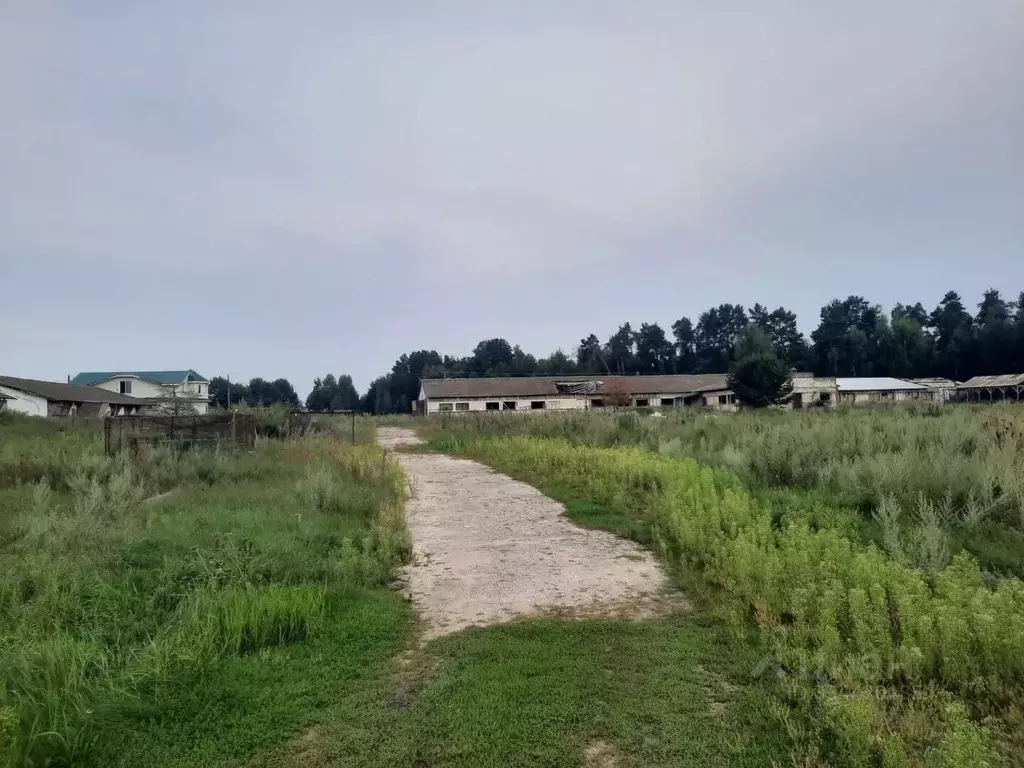 Помещение свободного назначения в Рязанская область, Касимовский ... - Фото 1