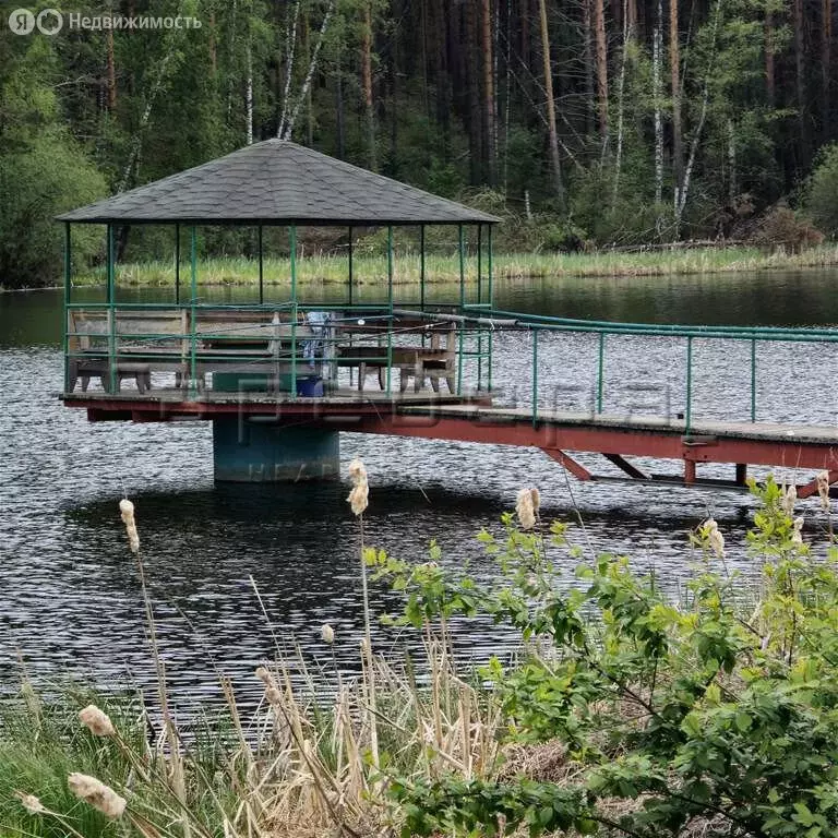 Дом в Никольский сельсовет, деревня Раскаты, Озёрная улица, 18 (78 м) - Фото 0