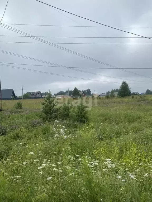 Участок в Кемеровская область, Кемеровский муниципальный округ, с. ... - Фото 0