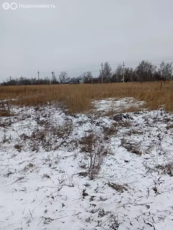 Участок в Донской, микрорайон Комсомольский, улица Застройщиков (12 м) - Фото 0