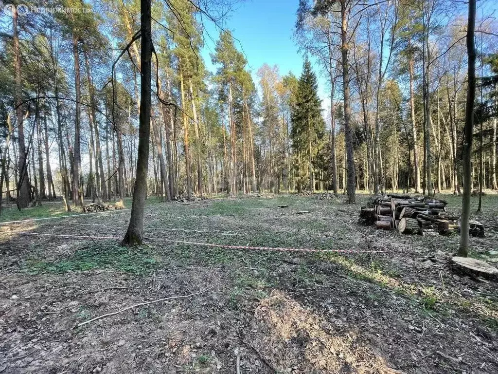 Участок в деревня Прохорово, Рябиновая улица (6 м) - Фото 1