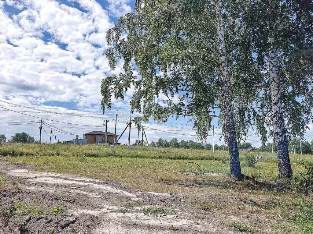 Участок в Новосибирская область, Новосибирский район, Раздольненский ... - Фото 0