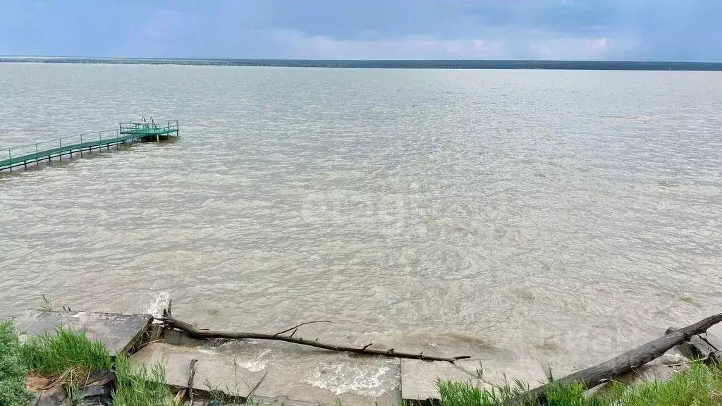 Участок в Новосибирская область, Ордынский район, с. Красный Яр ... - Фото 1