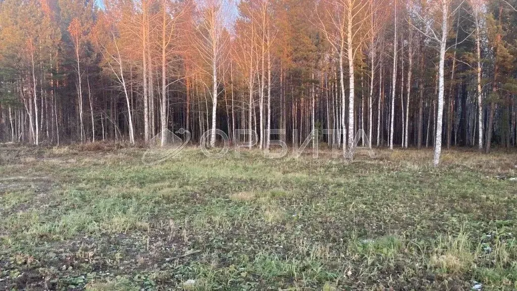 Участок в Тюменская область, Нижнетавдинский район, Березка СНТ  (8.0 ... - Фото 0