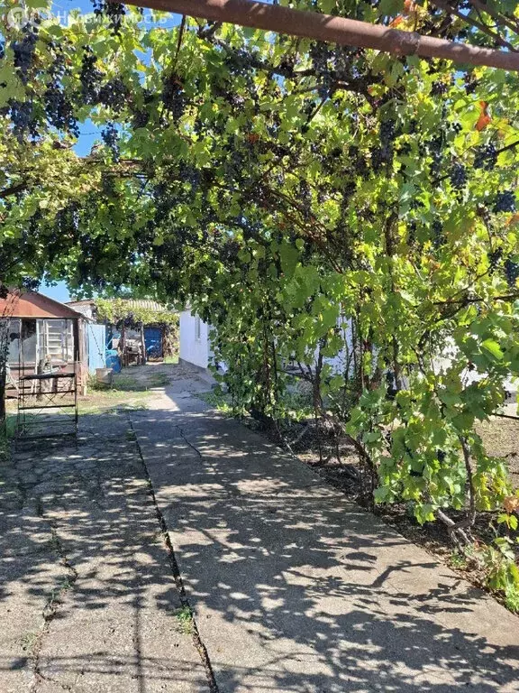 Дом в Солёное Озеро, улица Гагарина, 15 (65.5 м) - Фото 1