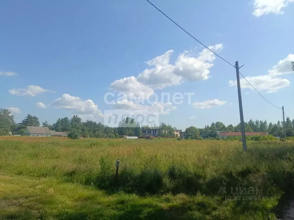 Участок в Ленинградская область, Кингисеппский район, Куземкинское ... - Фото 1