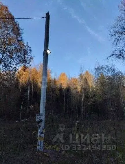 Участок в Вологодская область, Лечебное садоводческое товарищество 40 ... - Фото 2