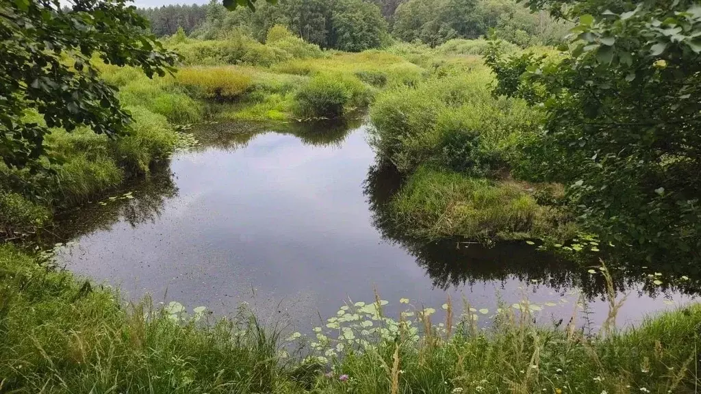 Участок в Тверская область, Калязинский муниципальный округ, д. ... - Фото 1