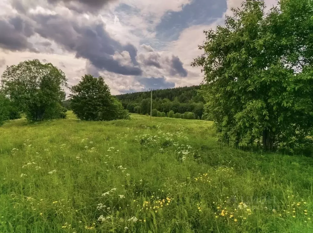 Участок в Карелия, Медвежьегорский муниципальный округ, д. Спировка  ... - Фото 1