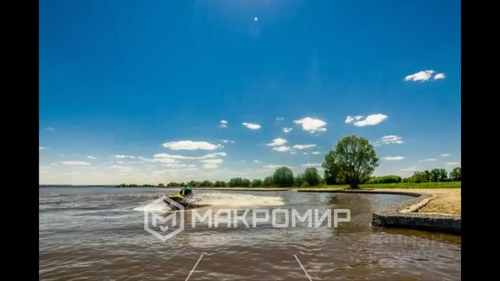 Участок в Пензенская область, Шемышейский район, с. Усть-Уза  (15.87 ... - Фото 0