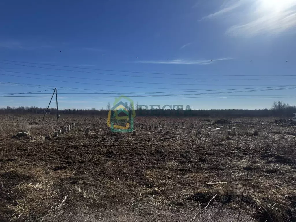 Участок в Ленинградская область, Ломоносовский район, Виллозское ... - Фото 1