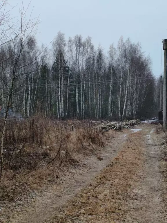 Участок в Рязанская область, Рязанский район, пос. Мурмино ул. ... - Фото 1