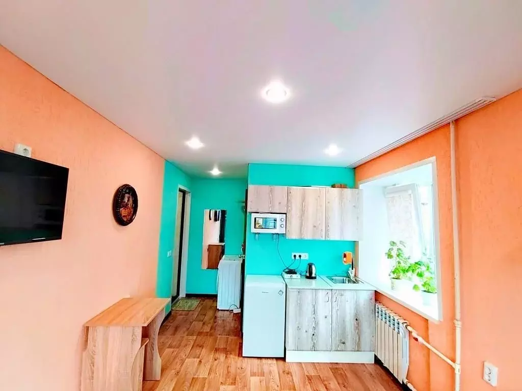 1-к кв. Алтайский край, Барнаул Деповская ул., 29 (17.0 м) - Фото 2