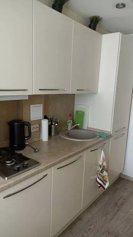 2-к кв. Краснодарский край, Краснодар ул. Димитрова, 162 (22.0 м) - Фото 2