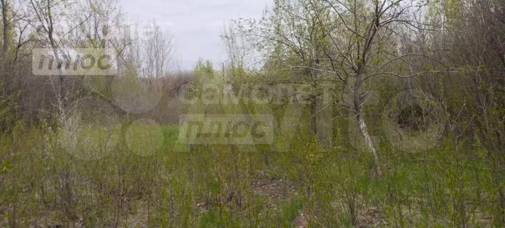 Участок 7,7 сот. (СНТ, ДНП) - Фото 0