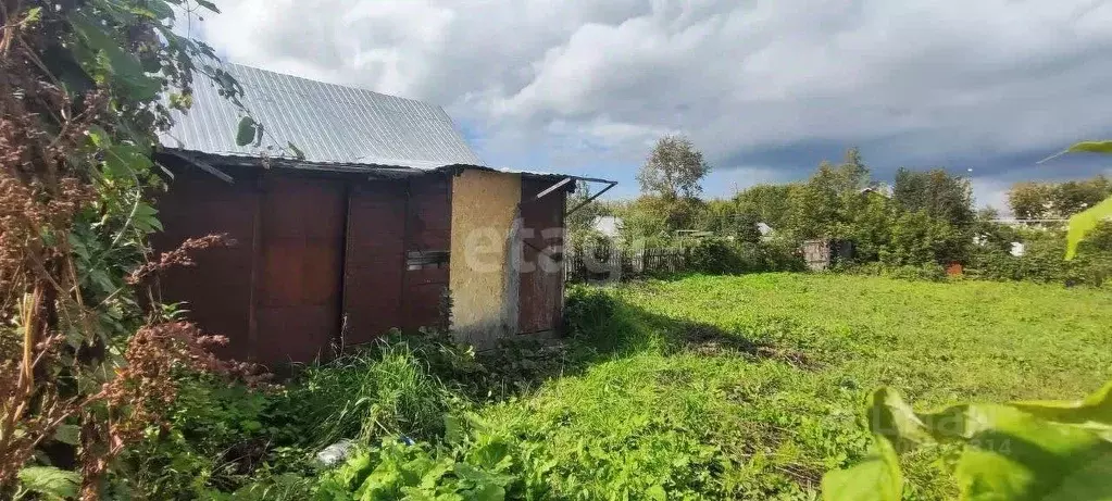 Участок в Алтайский край, Барнаул Трансмаш СНТ,  (6.2 сот.) - Фото 1