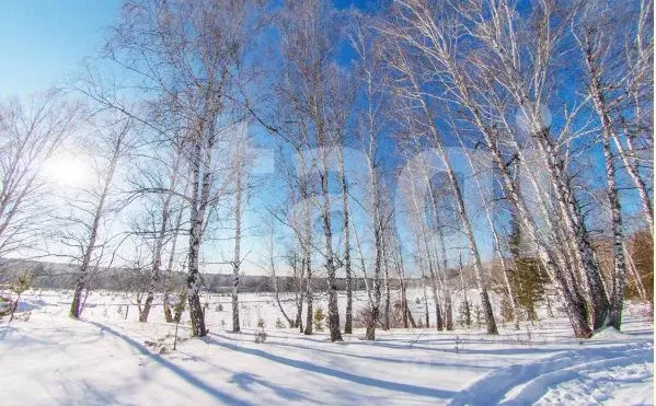 Участок в Московская область, Солнечногорск городской округ, ... - Фото 1