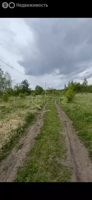 Участок в Рамонский район, Айдаровское сельское поселение, СНТ Лесная ... - Фото 0