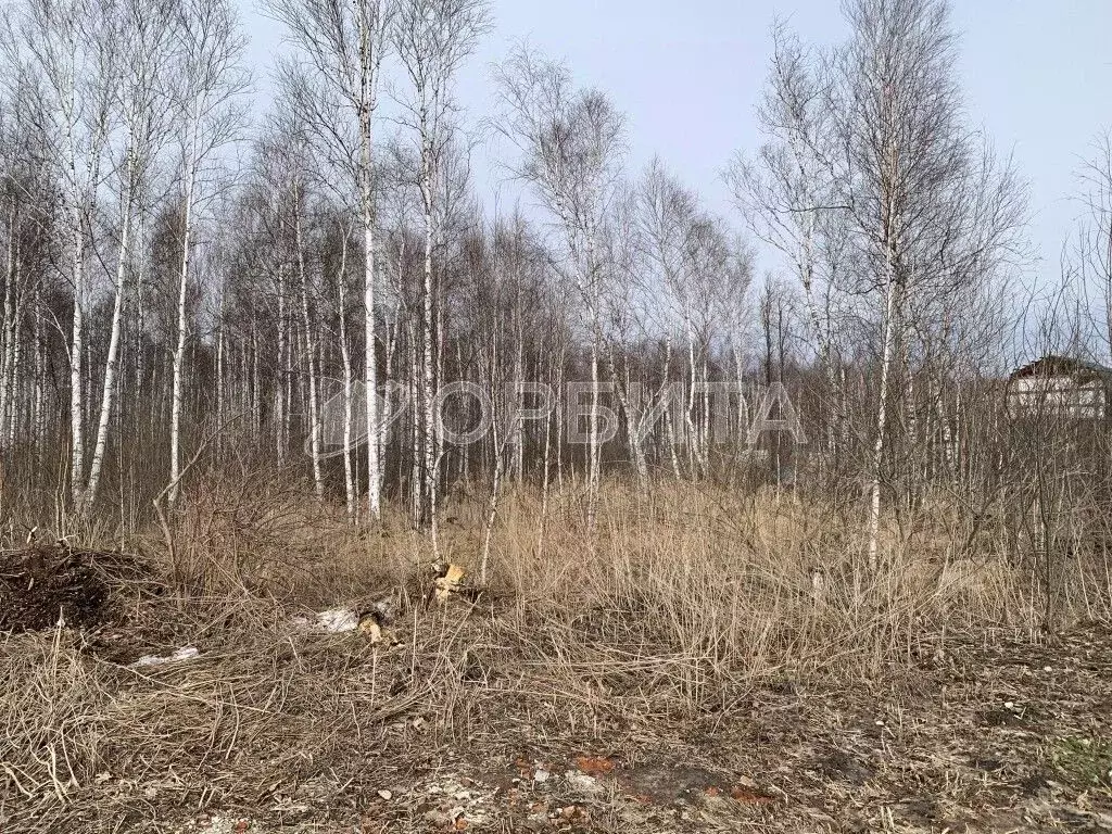 Участок в Тюменская область, Нижнетавдинский район, Сочинские СНТ  ... - Фото 1