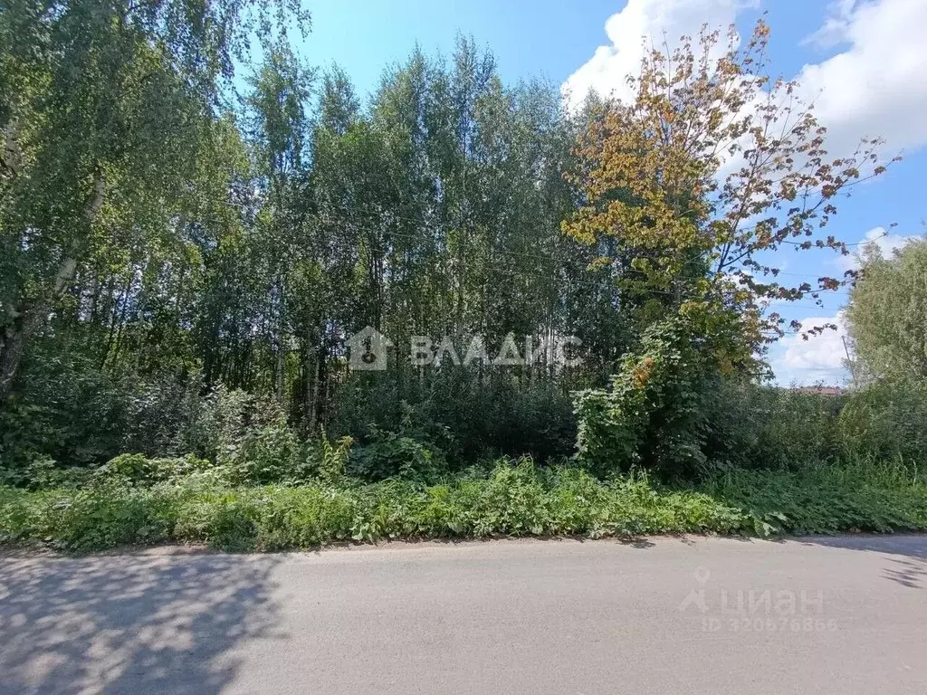 Участок в Владимирская область, Суздальский район, Новоалександровское ... - Фото 0