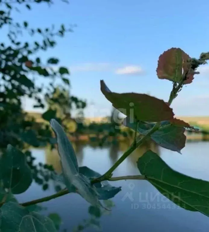 Участок в Воронежская область, Семилукское с/пос, с. Ендовище ул. ... - Фото 1