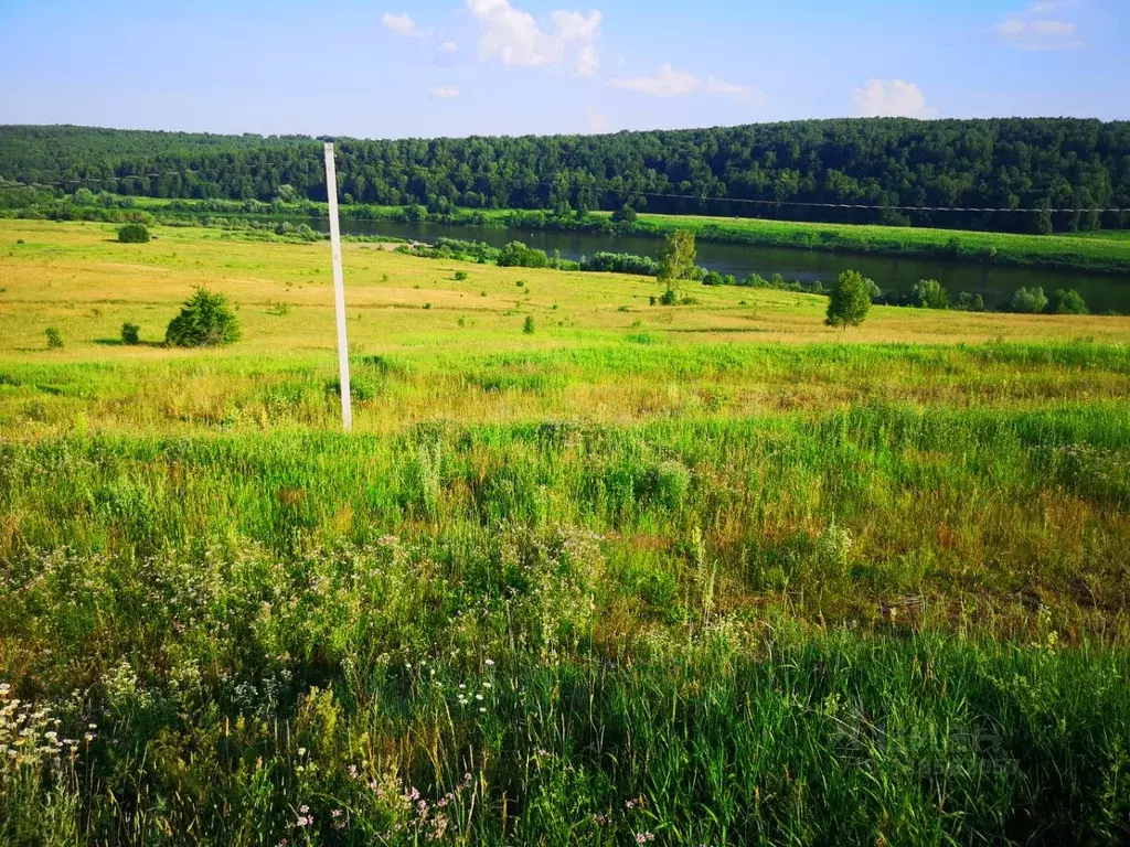 Участок в Калужская область, Ферзиковский муниципальный округ, д. ... - Фото 2