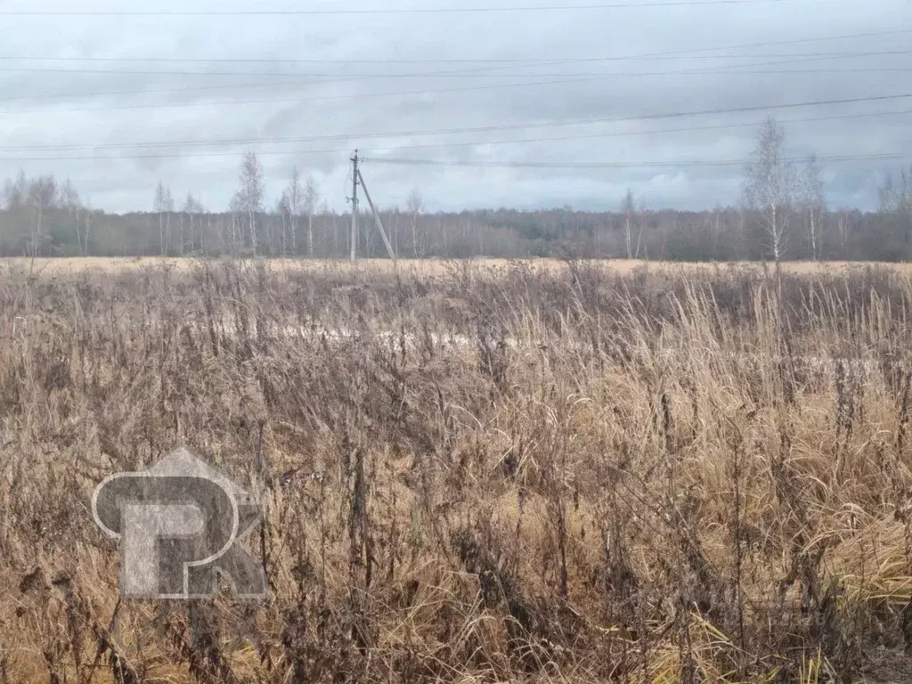 Участок в Московская область, Раменский муниципальный округ, с. ... - Фото 2
