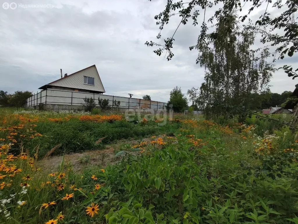 Участок в Ивановка, Первомайская улица (17.6 м) - Фото 1