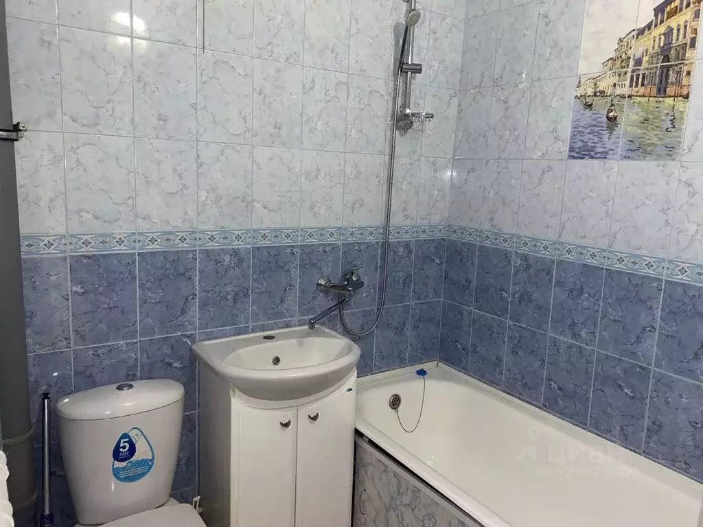 1-к кв. Московская область, Сергиево-Посадский городской округ, с. ... - Фото 2