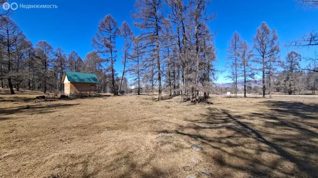 Дом в Усть-Коксинский район, село Мульта (18.6 м) - Фото 1