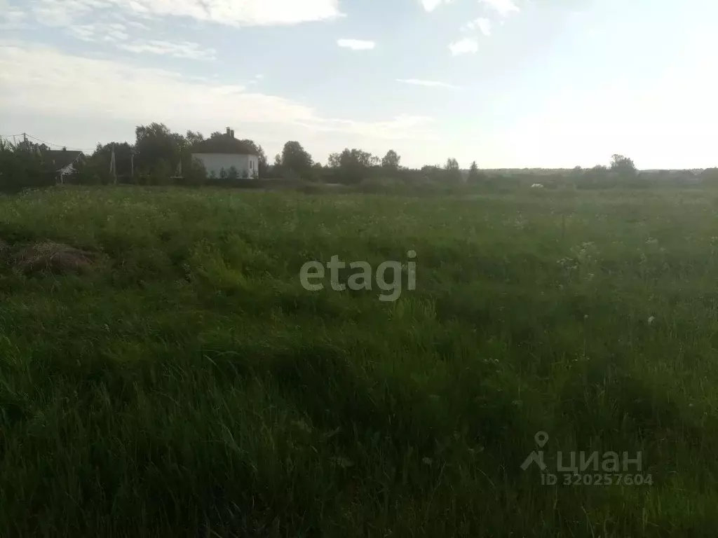 Участок в Костромская область, Красносельский район, Чапаевское с/пос, ... - Фото 1