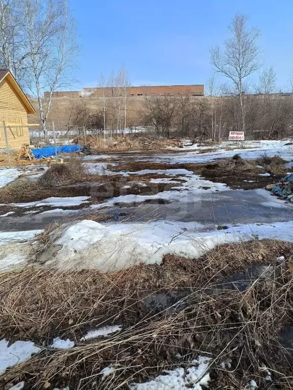 Участок в Новосибирская область, Бердск Ива СНТ, ул. 1-я (11.7 сот.) - Фото 1