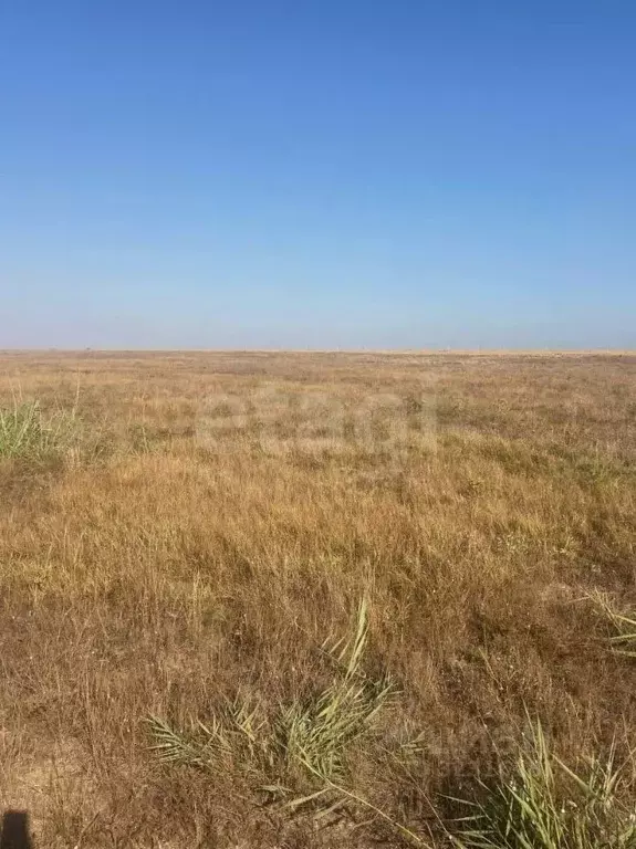 Участок в Крым, Сакский район, с. Штормовое  (6.0 сот.) - Фото 1