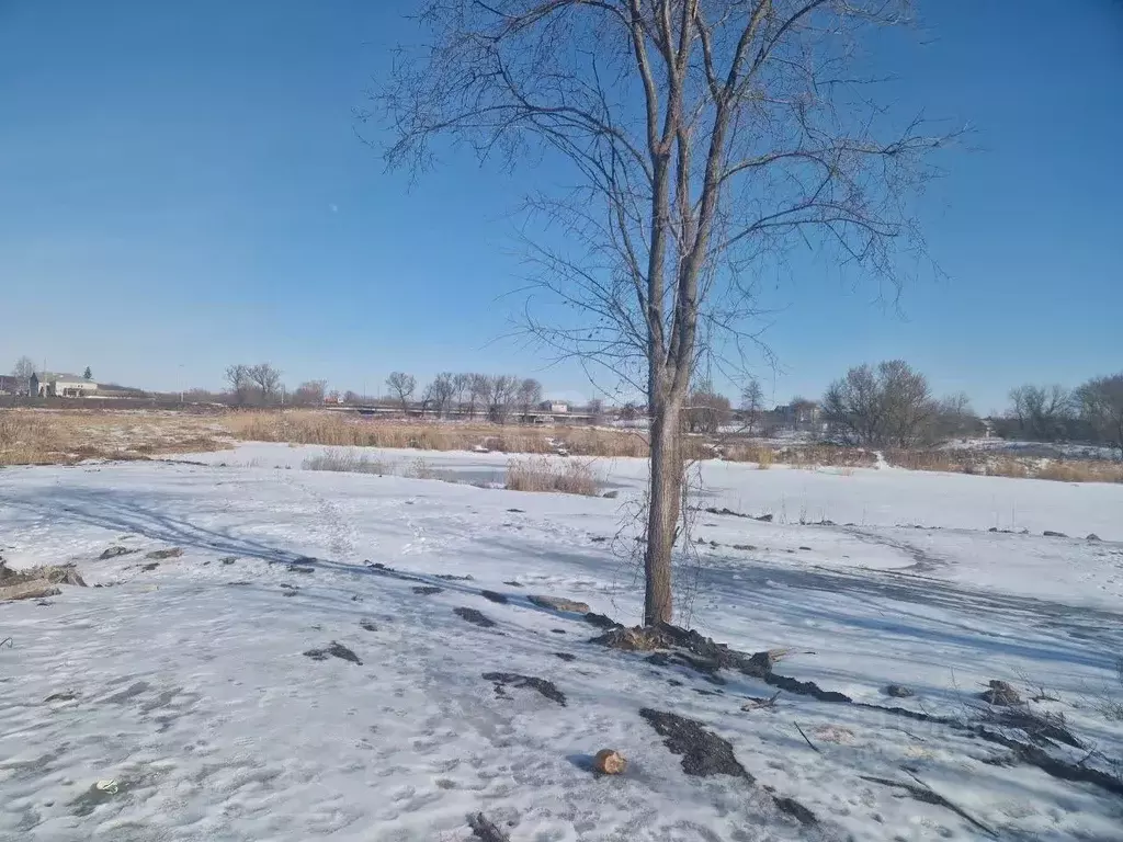 Участок в Белгородская область, Алексеевка ул. Некрасова, 100 (8.0 ... - Фото 2