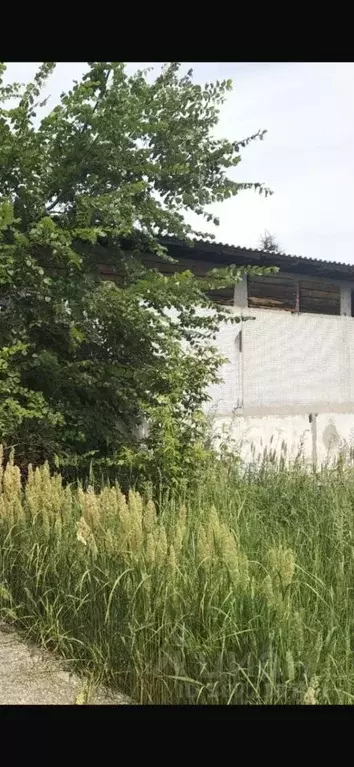 Дом в Самарская область, Ставропольский район, Узюково с/пос, с. ... - Фото 2