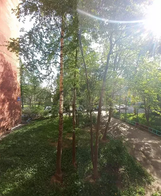 1-к. квартира, 38 м, 2/14 эт. - Фото 1