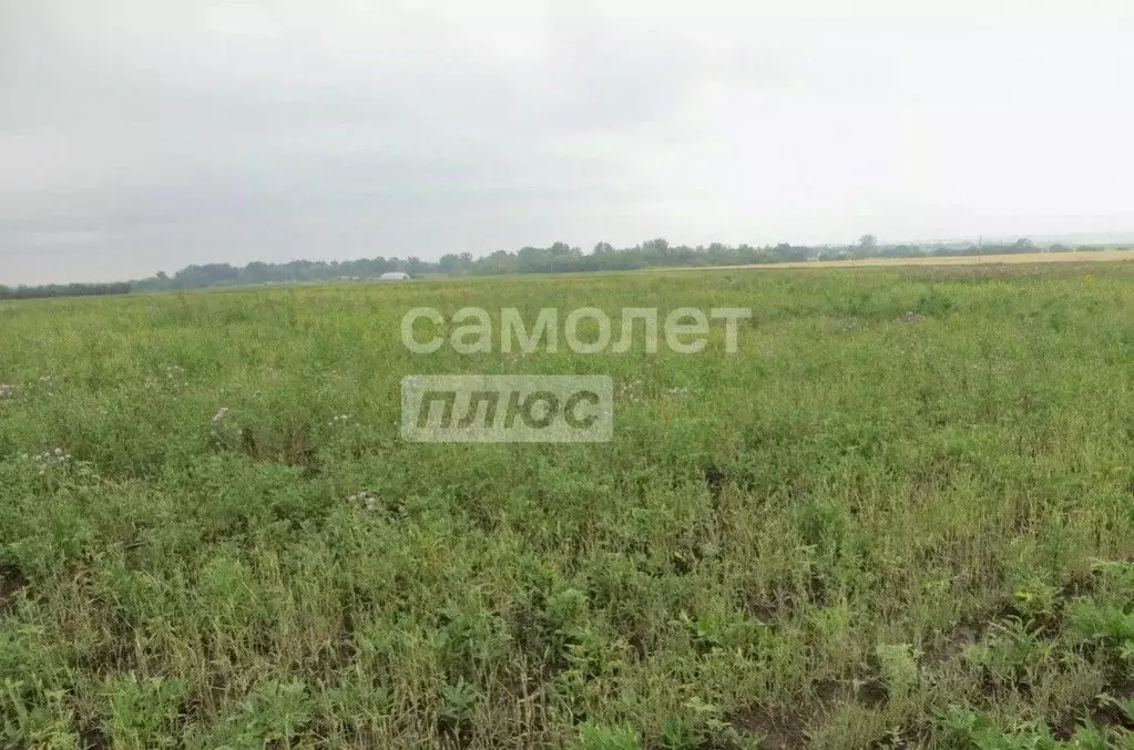 Участок в Челябинская область, Октябрьский муниципальный округ, с. ... - Фото 1