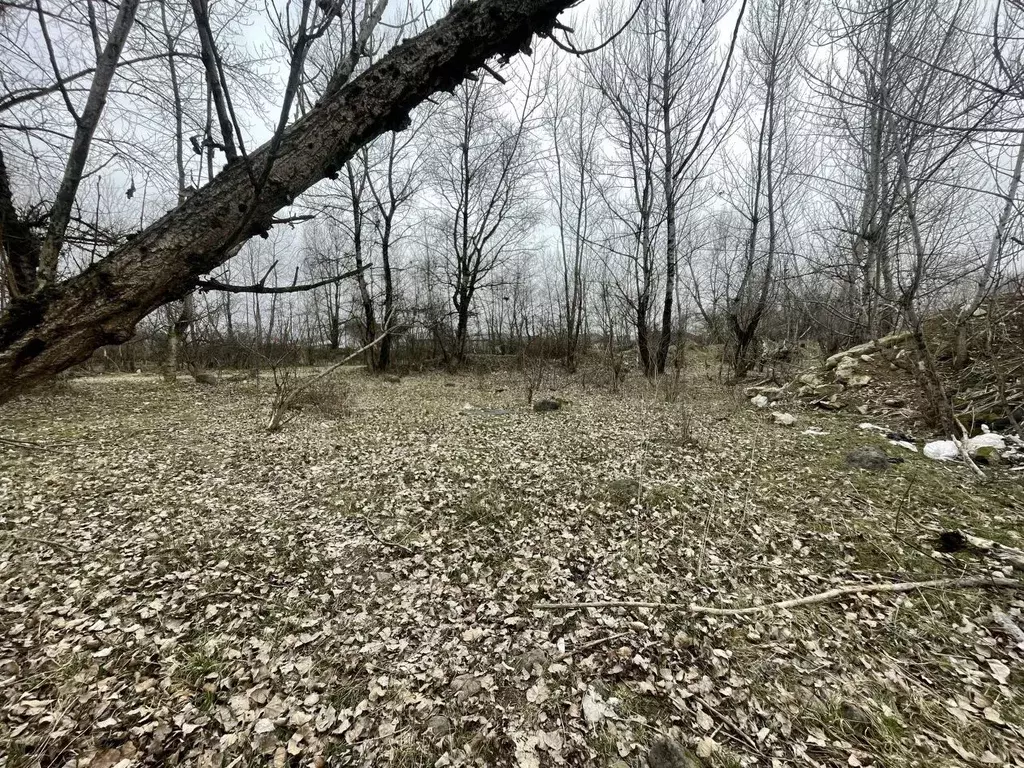 Участок в Кабардино-Балкария, Чегемский район, с. Шалушка Чегемский ... - Фото 2