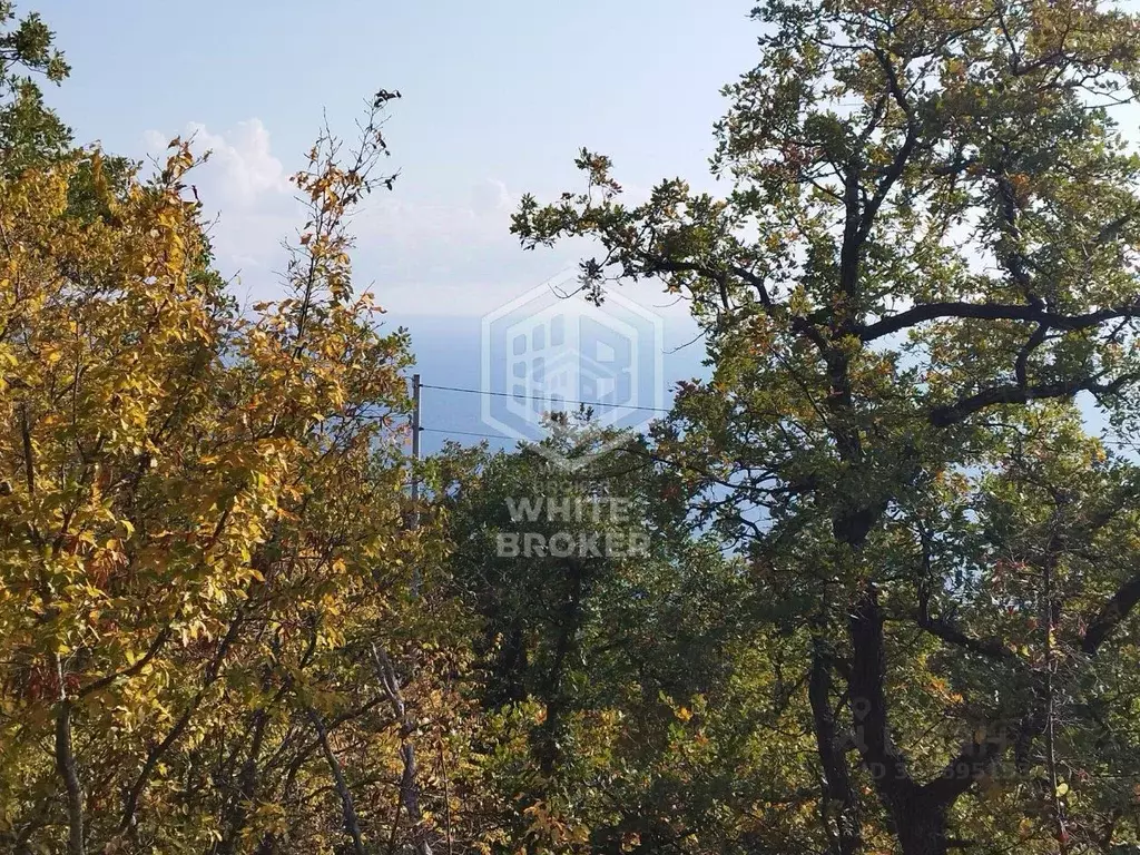 Участок в Крым, Ялта муниципальный округ, Гаспра пгт ш. ... - Фото 1