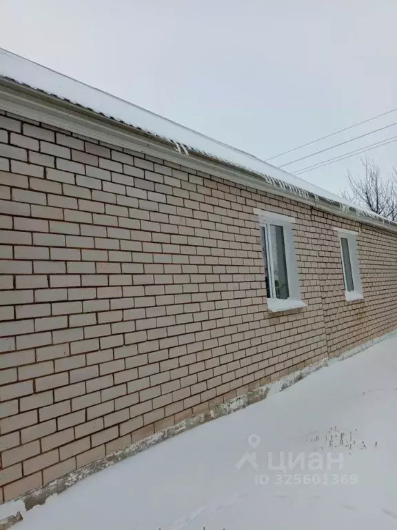 Дом в Татарстан, Азнакаево ул. Иркен, 17 (65 м) - Фото 2