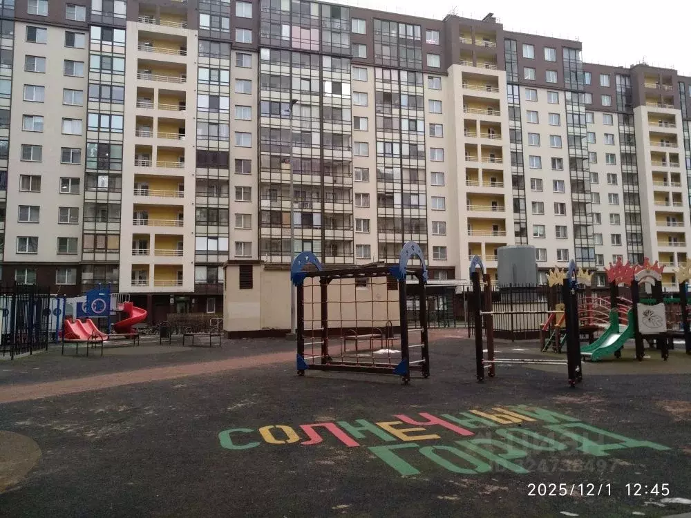 Студия Санкт-Петербург просп. Ветеранов, 169к2 (24.0 м) - Фото 1