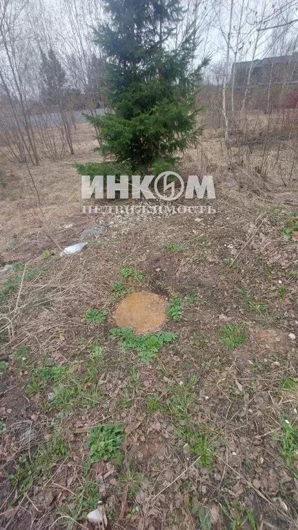 Участок, 15 сот., поселения (ижс) - Фото 1