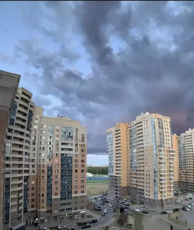 Студия Санкт-Петербург ул. Бутлерова, 11к4 (30.9 м) - Фото 1